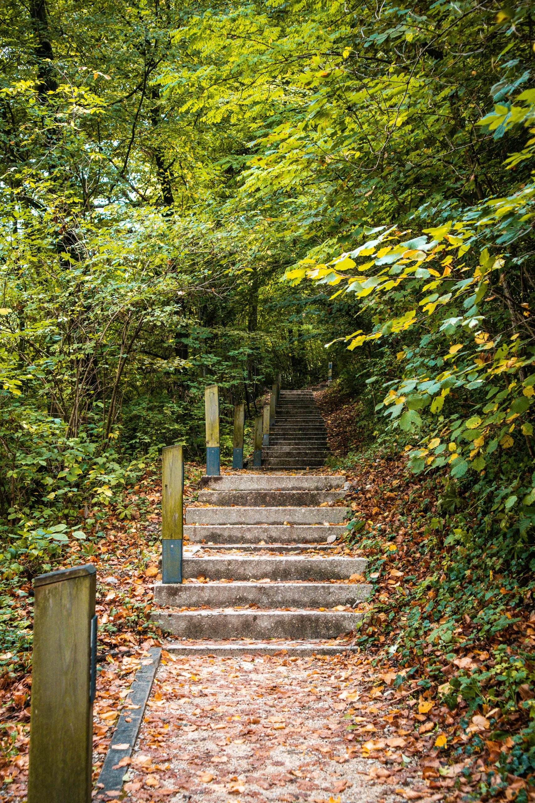 hcc-embed-stairs-pexels-pham-ngoc-anh-11003588